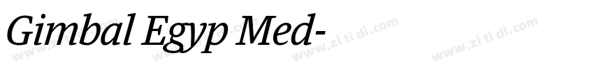 Gimbal Egyp Med字体转换